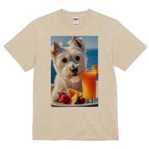 EGXgnChzCgeA TVc  j[NfUCfB[X t@  t vg lJWA 킢 lԗp Mtg I ҏ΍ W[X EGXgnC