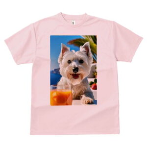 EGXgnChzCgeA TVc  j[NfUCfB[X t@  t vg lJWA 킢 lԗp Mtg I ҏ΍ W[X EGXgnC