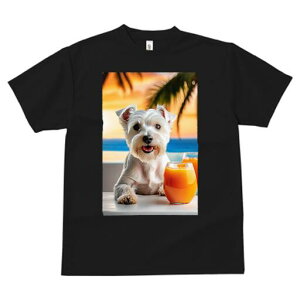 EGXgnChzCgeA TVc  j[NfUCfB[X t@  t vg lJWA 킢 lԗp Mtg I ҏ΍ W[X EGXgnC