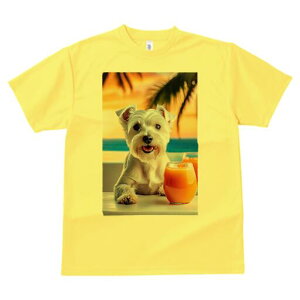 EGXgnChzCgeA TVc  j[NfUCfB[X t@  t vg lJWA 킢 lԗp Mtg I ҏ΍ W[X EGXgnC