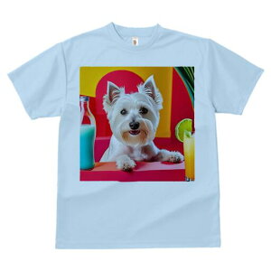 EGXgnChzCgeA TVc  j[NfUCY LbY t@  t vg lJWA 킢 lԗp Mtg I ҏ΍ {g EGXgn