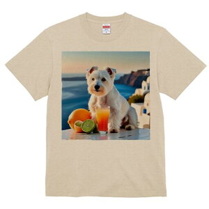 EGXgnChzCgeA TVc  j[NfUCfB[X t@  t vg lJWA 킢 lԗp Mtg I ҏ΍  EGXgnC