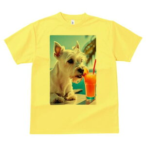 EGXgnChzCgeA TVc  j[NfUCfB[X t@  t vg lJWA 킢 lԗp Mtg I ҏ΍ ݕ EGXgnC