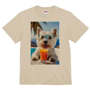 EGXgnChzCgeA TVc  j[NfUCfB[X t@  t vg lJWA 킢 lԗp Mtg I ҏ΍ ݕ EGXgnC