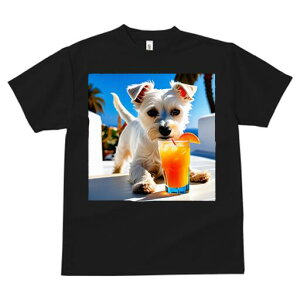 EGXgnChzCgeA TVc  j[NfUCfB[X t@  t vg lJWA 킢 lԗp Mtg I ҏ΍ ݕ EGXgnC