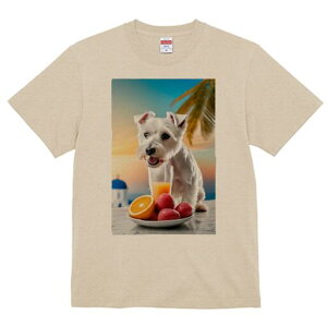 EGXgnChzCgeA TVc  j[NfUCfB[X t@  t vg lJWA 킢 lԗp Mtg I ҏ΍ IWW[X EG