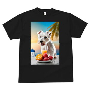 EGXgnChzCgeA TVc  j[NfUCY LbY t@  t vg lJWA 킢 lԗp Mtg I ҏ΍ IWW[X 