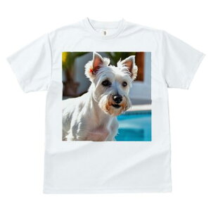 �E�G�X�g�n�C�����h�z���C�g�e���A T�V���c ���� ���j�[�N�f�U�C�����f�B�[�X ���t�@�� ���� �t�� �v�����g ��l�J�W���A�� ���킢�� �l�ԗp �M�t�g ���I �ҏ��΍� �v�[�� �E�G�X�g�n�C��