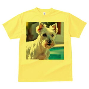 EGXgnChzCgeA TVc  j[NfUCfB[X t@  t vg lJWA 킢 lԗp Mtg I ҏ΍ v[ EGXgnC