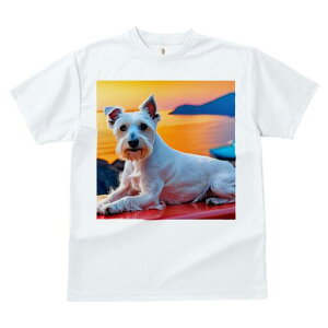 EGXgnChzCgeA TVc  j[NfUCfB[X t@  t vg lJWA 킢 lԗp Mtg I ҏ΍ [Ă EGXgnC