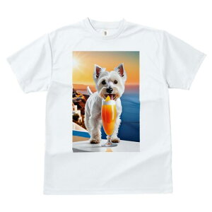 EGXgnChzCgeA TVc  j[NfUCfB[X t@  t vg lJWA 킢 lԗp Mtg I ҏ΍ IWW[X EG