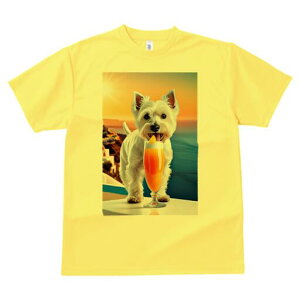 EGXgnChzCgeA TVc  j[NfUCY LbY t@  t vg lJWA 킢 lԗp Mtg I ҏ΍ IWW[X 