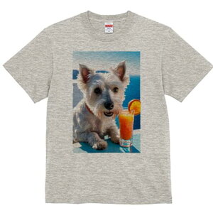 EGXgnChzCgeA TVc  j[NfUCfB[X t@  t vg lJWA 킢 lԗp Mtg I ҏ΍ W[X EGXgnC