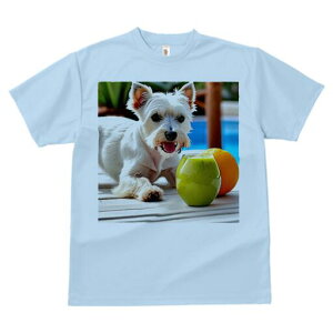 EGXgnChzCgeA TVc  j[NfUCfB[X t@  t vg lJWA 킢 lԗp Mtg I ҏ΍ X[W[ EGXgn