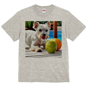 EGXgnChzCgeA TVc  j[NfUCY LbY t@  t vg lJWA 킢 lԗp Mtg I ҏ΍ X[W[ EGX