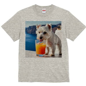 EGXgnChzCgeA TVc  j[NfUCfB[X t@  t vg lJWA 킢 lԗp Mtg I ҏ΍ W[X EGXgnC