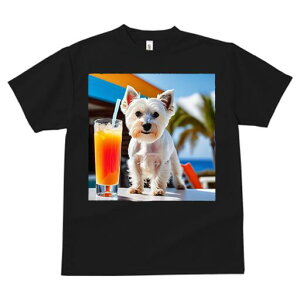 EGXgnChzCgeA TVc  j[NfUCfB[X t@  t vg lJWA 킢 lԗp Mtg I ҏ΍ ݕ EGXgnC