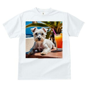 EGXgnChzCgeA TVc  j[NfUCfB[X t@  t vg lJWA 킢 lԗp Mtg I ҏ΍ ݕ EGXgnC