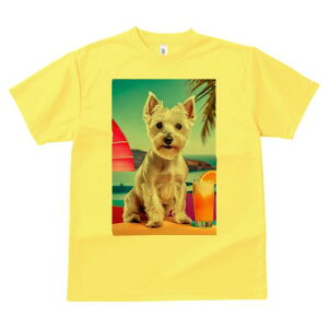 EGXgnChzCgeA TVc  j[NfUCfB[X t@  t vg lJWA 킢 lԗp Mtg I ҏ΍ r[` EGXgnC