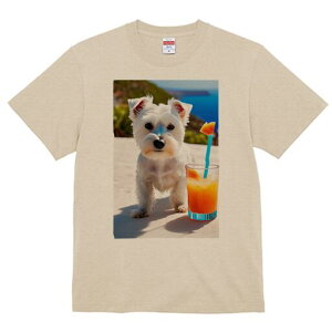 �E�G�X�g�n�C�����h�z���C�g�e���A T�V���c ���� ���j�[�N�f�U�C�����f�B�[�X ���t�@�� ���� �t�� �v�����g ��l�J�W���A�� ���킢�� �l�ԗp �M�t�g ���I �ҏ��΍� ���ݕ� �E�G�X�g�n�C��