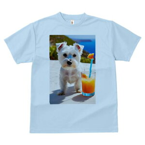 EGXgnChzCgeA TVc  j[NfUCfB[X t@  t vg lJWA 킢 lԗp Mtg I ҏ΍ ݕ EGXgnC