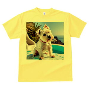 EGXgnChzCgeA TVc  j[NfUCfB[X t@  t vg lJWA 킢 lԗp Mtg I ҏ΍ v[ EGXgnC