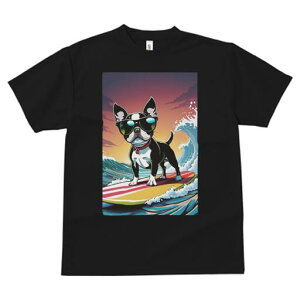 {XgeA TVc  j[NfUCfB[X t@  t vg lJWA 킢 lԗp Mtg I ҏ΍ TOX {XgeA T[tB g 