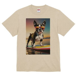 {XgeA TVc  j[NfUCfB[X t@  t vg lJWA 킢 lԗp Mtg I ҏ΍ TOX {XgeA T[t{[h 