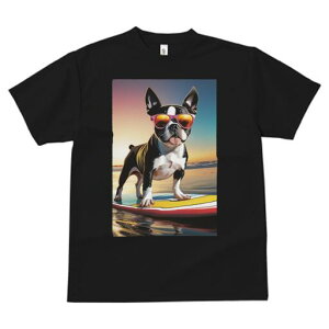 {XgeA TVc  j[NfUCfB[X t@  t vg lJWA 킢 lԗp Mtg I ҏ΍ TOX {XgeA T[t{[h 