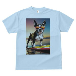 {XgeA TVc  j[NfUCfB[X t@  t vg lJWA 킢 lԗp Mtg I ҏ΍ TOX {XgeA T[t{[h 