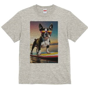 {XgeA TVc  j[NfUCfB[X t@  t vg lJWA 킢 lԗp Mtg I ҏ΍ TOX {XgeA T[t{[h 