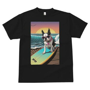 {XgeA TVc  j[NfUCfB[X t@  t vg lJWA 킢 lԗp Mtg I ҏ΍ TOX {XgeA T[t{[h 