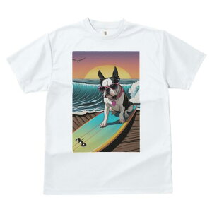 {XgeA TVc  j[NfUCfB[X t@  t vg lJWA 킢 lԗp Mtg I ҏ΍ TOX {XgeA T[t{[h 