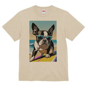 {XgeA TVc  j[NfUCfB[X t@  t vg lJWA 킢 lԗp Mtg I ҏ΍ TOX {XgeA T[t{[h 