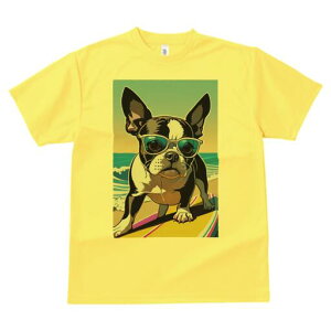 {XgeA TVc  j[NfUCfB[X t@  t vg lJWA 킢 lԗp Mtg I ҏ΍ TOX {XgeA T[t{[h 