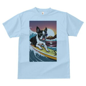 {XgeA TVc  j[NfUCfB[X t@  t vg lJWA 킢 lԗp Mtg I ҏ΍ T[tB {XgeA g C z