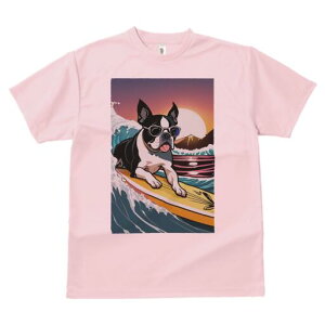 {XgeA TVc  j[NfUCfB[X t@  t vg lJWA 킢 lԗp Mtg I ҏ΍ T[tB {XgeA g C z