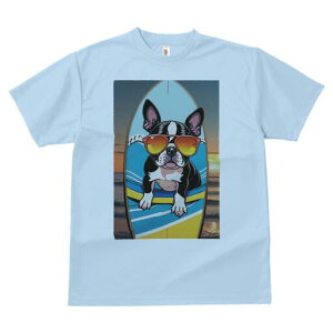 {XgeA TVc  j[NfUCfB[X t@  t vg lJWA 킢 lԗp Mtg I ҏ΍ T[t{[h {XgeA C [Ă T