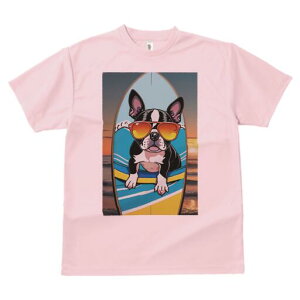 {XgeA TVc  j[NfUCfB[X t@  t vg lJWA 킢 lԗp Mtg I ҏ΍ T[t{[h {XgeA C [Ă T