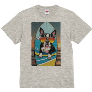 {XgeA TVc  j[NfUCfB[X t@  t vg lJWA 킢 lԗp Mtg I ҏ΍ T[t{[h {XgeA C [Ă T