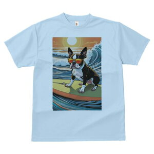 {XgeA TVc  j[NfUCY LbY t@  t vg lJWA 킢 lԗp Mtg I ҏ΍ T[tB {XgeA C g z