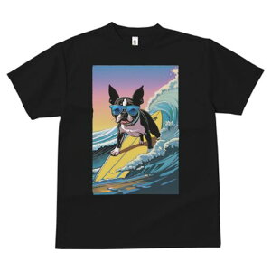 {XgeA TVc  j[NfUCfB[X t@  t vg lJWA 킢 lԗp Mtg I ҏ΍ g {XgeA T[tB TOX