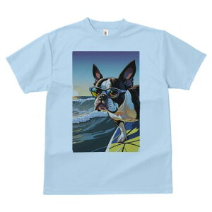 {XgeA TVc  j[NfUCfB[X t@  t vg lJWA 킢 lԗp Mtg I ҏ΍ TOX {XgeA T[tB C 