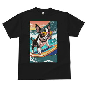 {XgeA TVc  j[NfUCfB[X t@  t vg lJWA 킢 lԗp Mtg I ҏ΍ g {XgeA T[tB TOX 