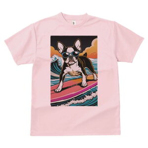 {XgeA TVc  j[NfUCfB[X t@  t vg lJWA 킢 lԗp Mtg I ҏ΍ TOX {XgeA T[tB g 