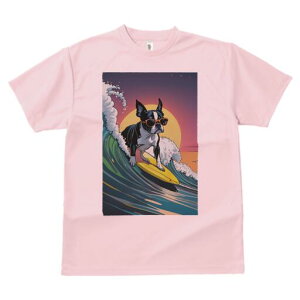 {XgeA TVc  j[NfUCfB[X t@  t vg lJWA 킢 lԗp Mtg I ҏ΍ g {XgeA T[tB C z