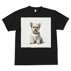 EGXgnChzCgeA TVc  j[NfUCY LbY t@  t vg lJWA 킢 lԗp Mtg I ҏ΍ Kl EGXgn