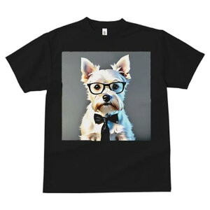 EGXgnChzCgeA TVc  j[NfUCY LbY t@  t vg lJWA 킢 lԗp Mtg I ҏ΍ Kl EGXgn