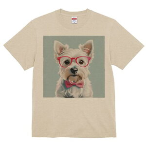 EGXgnChzCgeA TVc  j[NfUCY LbY t@  t vg lJWA 킢 lԗp Mtg I ҏ΍ Kl EGXgn