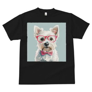 EGXgnChzCgeA TVc  j[NfUCfB[X t@  t vg lJWA 킢 lԗp Mtg I ҏ΍ Kl EGXgnC